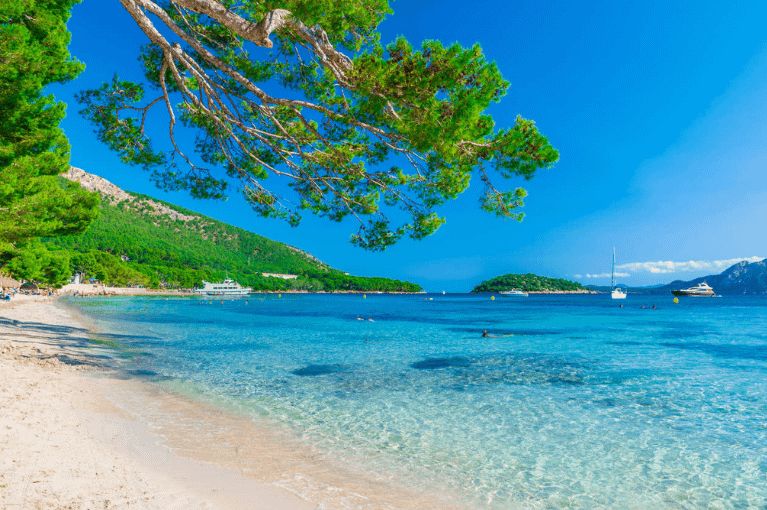 Maiorca