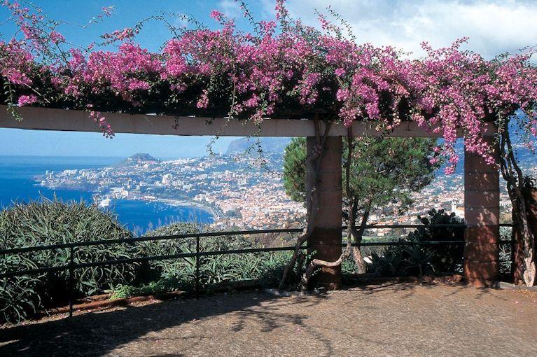 Funchal Funchal
