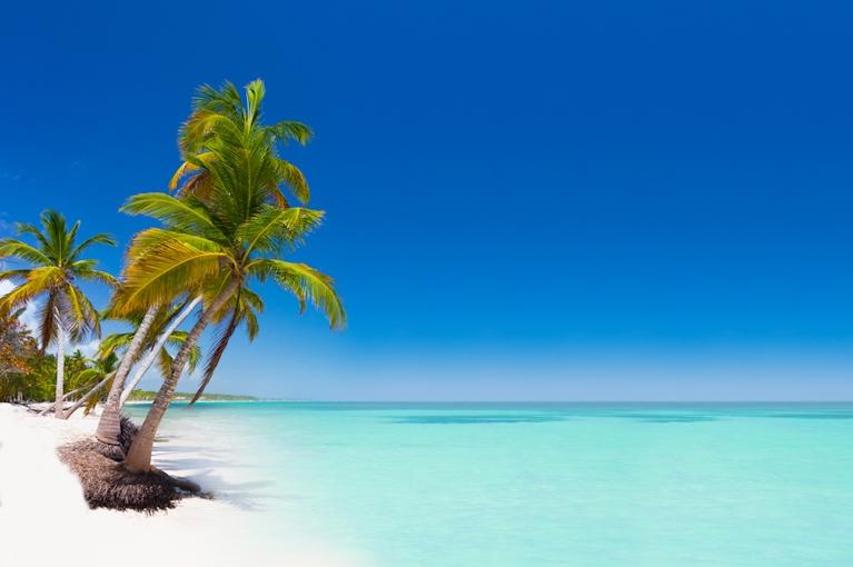 Punta Cana Punta Cana